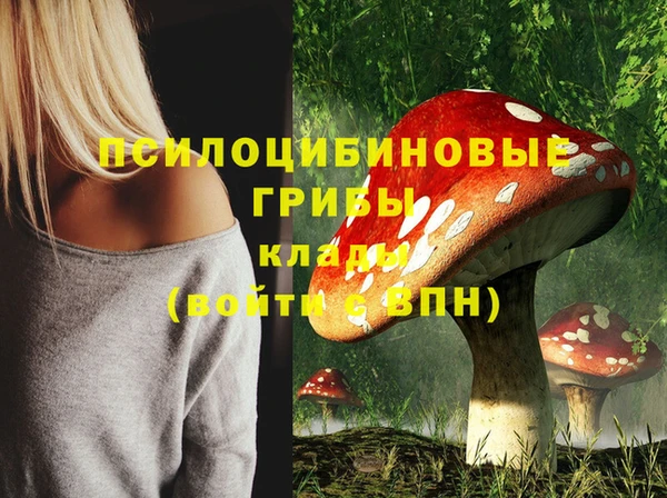 кокаин колумбия Болотное
