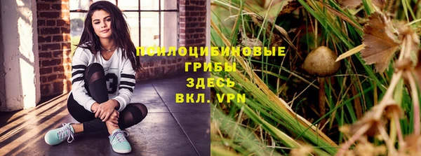ешки Пересвет